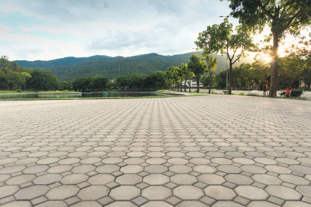 Best Driveway Pavers Near Me  in Grass Lake, MI