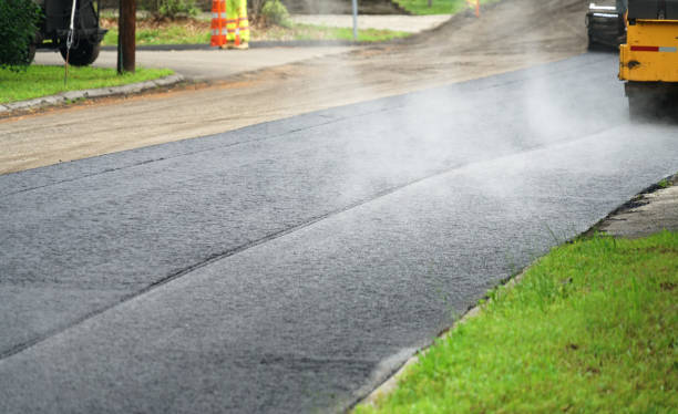 Best Residential Driveway Paver Services  in Grass Lake, MI